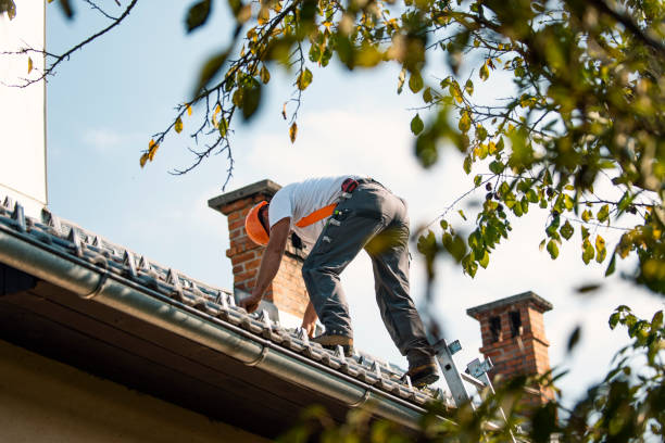 Best Slate Roofing Contractor  in Keokea, HI