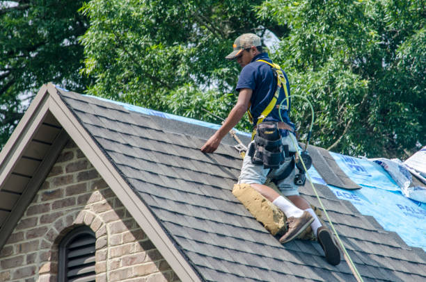 Best Commercial Roofing Services  in Keokea, HI